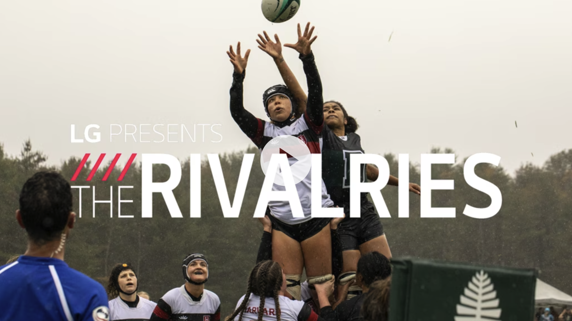 The Rivalries