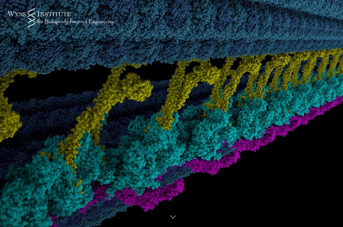 Wyss Institute for Biologically Inspired Engineering