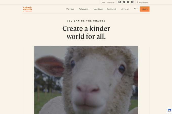 Animals Australia Website by August