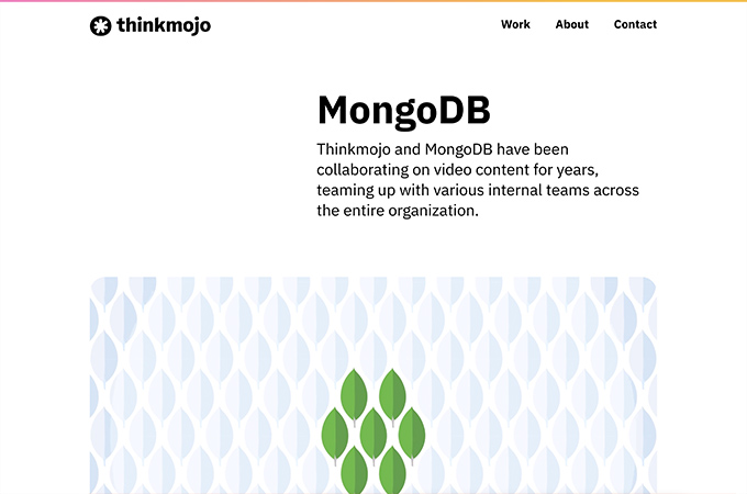MongoDB by Thinkmojo