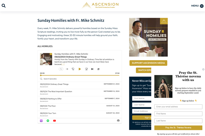 Sunday Homilies with Fr. Mike Schmitz by Ascension