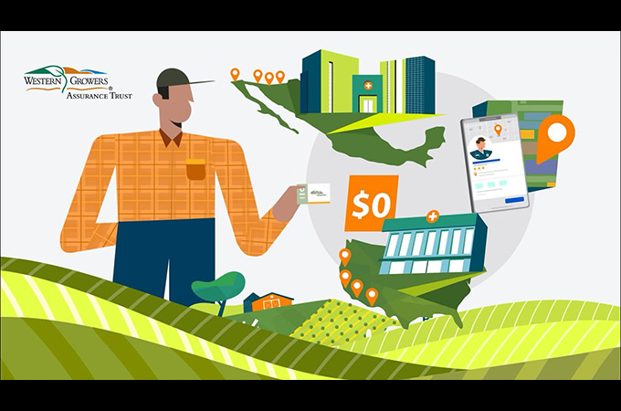 Discover Your Health Plan With WGAT Animation by Pinnacle Claims Management