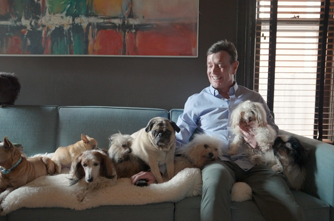 Animal Lover Opens His Heart and Home to Older Dogs by AARP