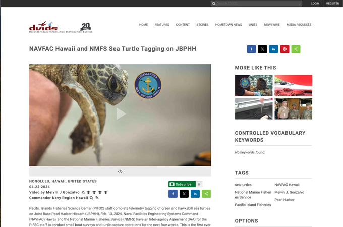 NAVFAC and NMFS Sea Turtle Tagging by Commander Navy Region Hawaii