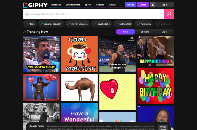 GIPHY