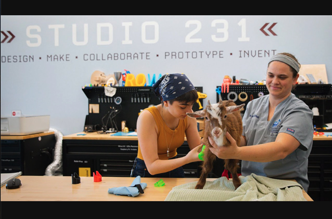 Enriching Animal Lives: Inspiring Veterinary Innovation at Studio 231 by Rowan University