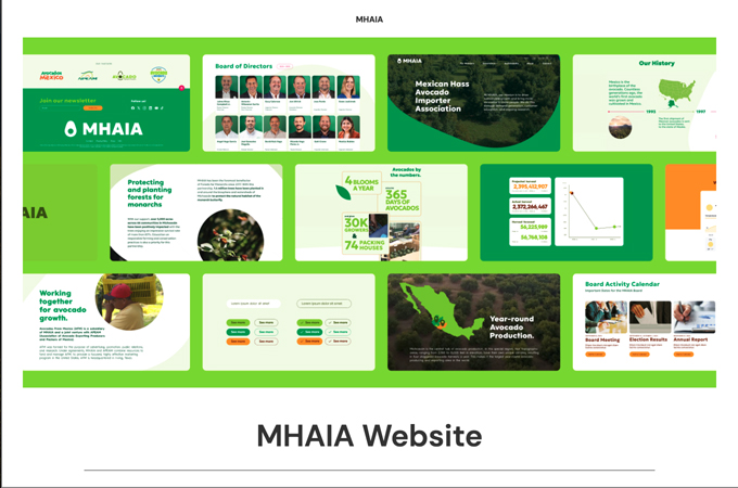 MHAIA Website Redesign by 270B