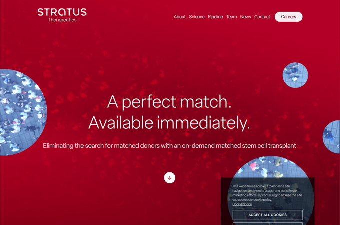 Stratus Therapeutics Corporate Website by 22 Fillmore