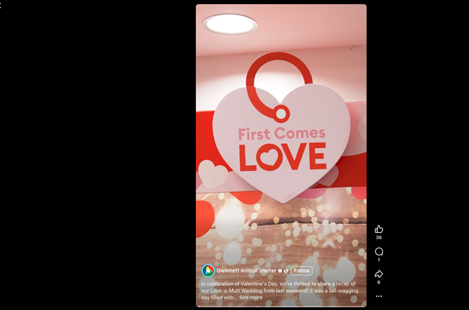 Love-A-Mutt Wedding by Gwinnett County Government