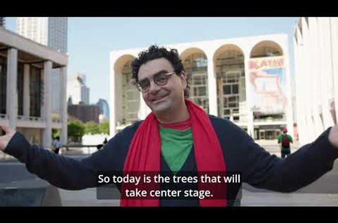The City's Green Room by Corazón Latino
