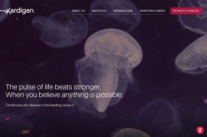 Kardigan Corporate Website by 22 Fillmore