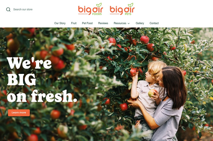 Big Air Website by Twin Creek Media